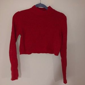 Crop red sweater